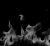 http://upforme.ru/uploads/0014/7b/b2/212/t438505.gif