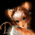 http://upforme.ru/uploads/0014/7b/b2/212/t497325.gif