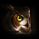 http://upforme.ru/uploads/0014/7b/b2/212/t92087.gif