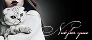 http://upforme.ru/uploads/0014/7b/b2/247/t68393.gif
