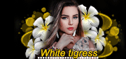 http://upforme.ru/uploads/0014/7b/b2/434/901406.gif