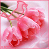 http://upforme.ru/uploads/0014/7b/b2/54/t453512.gif
