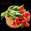 http://upforme.ru/uploads/0014/7b/b2/54/t613711.gif