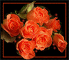 http://upforme.ru/uploads/0014/7b/b2/54/t857186.gif