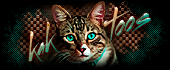 http://upforme.ru/uploads/0014/7b/b2/573/212260.gif