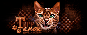 http://upforme.ru/uploads/0014/7b/b2/573/346358.gif