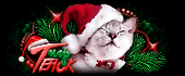 http://upforme.ru/uploads/0014/7b/b2/573/t69409.gif