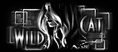 http://upforme.ru/uploads/0014/7b/b2/597/t431926.gif