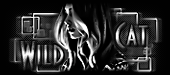 http://upforme.ru/uploads/0014/7b/b2/597/t59925.gif