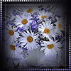 http://upforme.ru/uploads/0014/7b/b2/749/t124105.gif