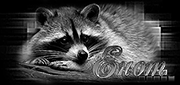 http://upforme.ru/uploads/0014/7b/b2/749/t338828.gif