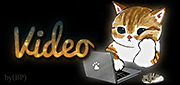 http://upforme.ru/uploads/0014/7b/b2/749/t80215.gif
