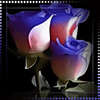 http://upforme.ru/uploads/0014/7b/b2/749/t966192.gif