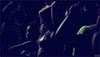 http://upforme.ru/uploads/0014/7b/b2/776/t162426.gif