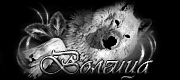 http://upforme.ru/uploads/0014/7b/b2/776/t862658.gif
