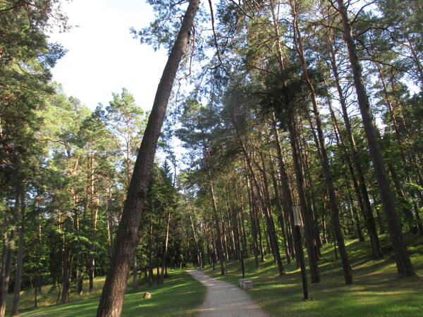 http://upforme.ru/uploads/0014/86/a5/14/t624720.jpg