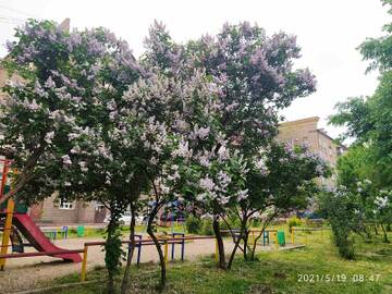 http://upforme.ru/uploads/0014/87/81/27/t21001.jpg