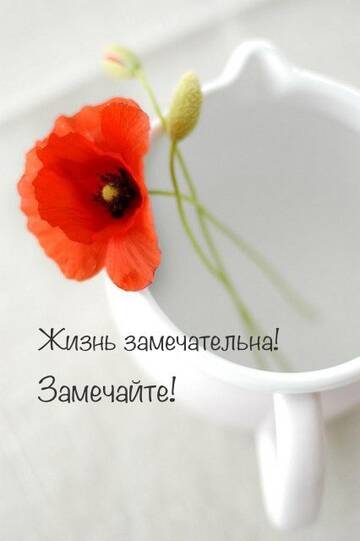 http://upforme.ru/uploads/0014/87/81/27/t538563.jpg