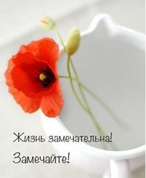 http://upforme.ru/uploads/0014/87/81/27/t867348.png