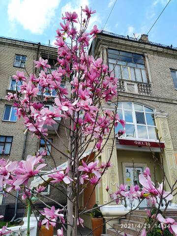 http://upforme.ru/uploads/0014/87/81/27/t967996.jpg