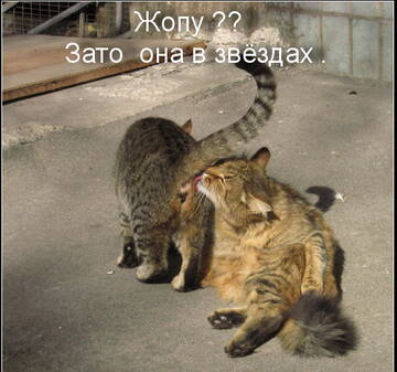 http://upforme.ru/uploads/0014/97/f4/12/t202541.jpg
