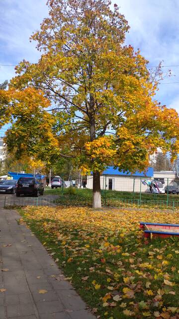 http://upforme.ru/uploads/0014/97/f4/12/t365307.jpg