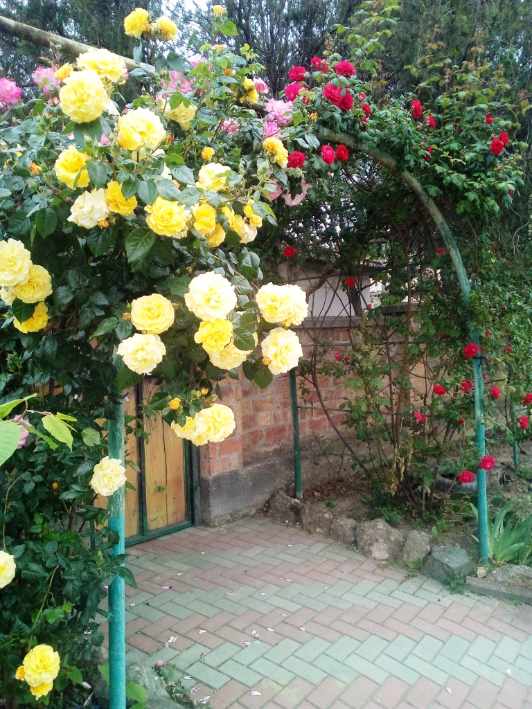 http://upforme.ru/uploads/0014/97/f4/218/350250.jpg