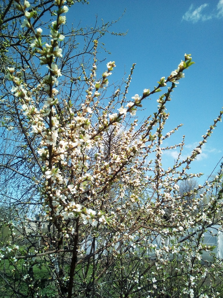 http://upforme.ru/uploads/0014/97/f4/218/773564.jpg