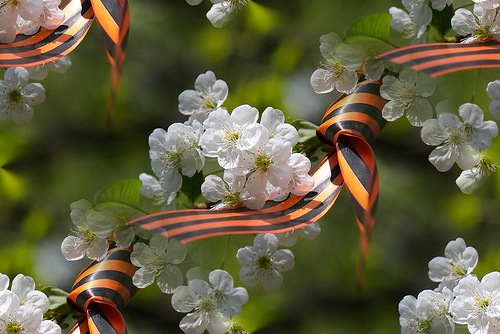 http://upforme.ru/uploads/0014/97/f4/40/18281.jpg