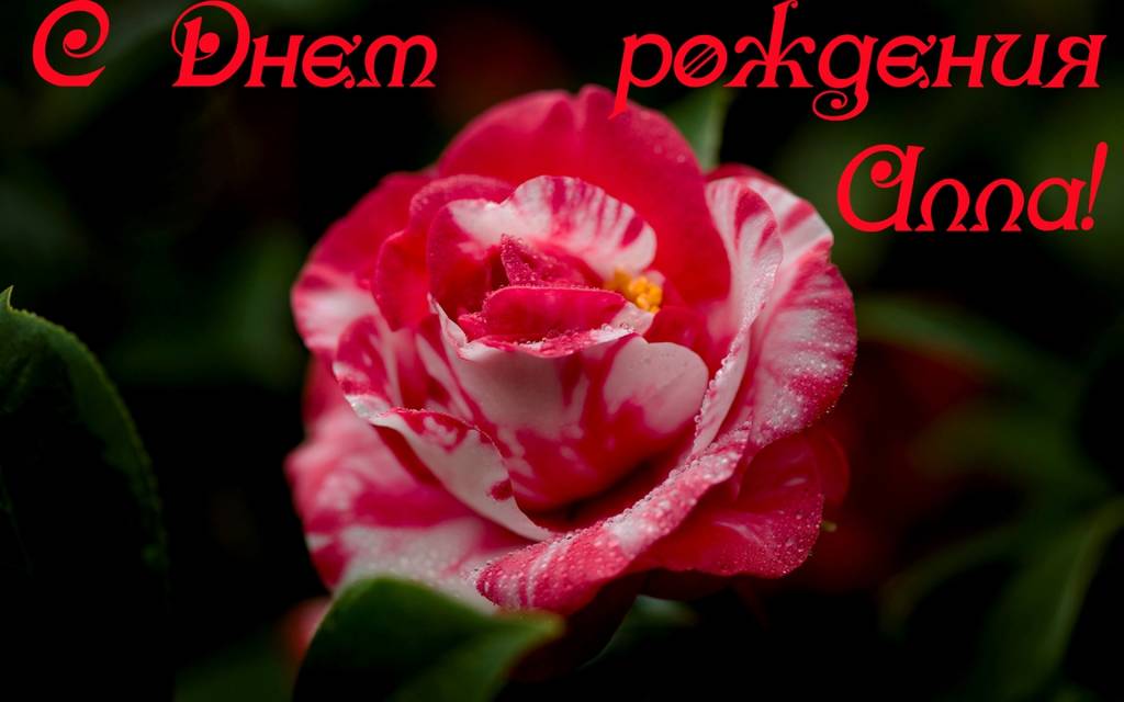 http://upforme.ru/uploads/0014/97/f4/64/75056.jpg