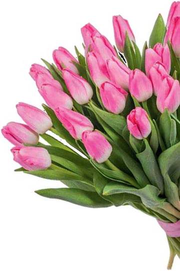 http://upforme.ru/uploads/0014/a0/14/21/t20953.jpg