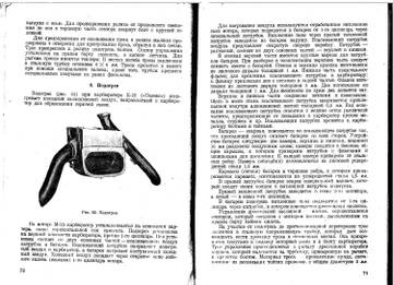 http://upforme.ru/uploads/0014/f6/ef/11/t86253.jpg