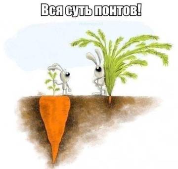 http://upforme.ru/uploads/0014/f6/ef/27/t22581.jpg