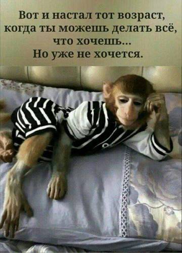 http://upforme.ru/uploads/0014/f6/ef/27/t43272.jpg