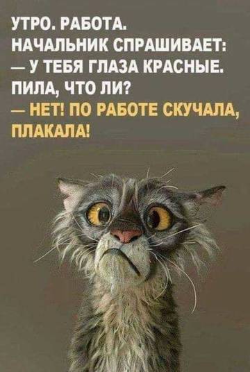 http://upforme.ru/uploads/0014/f6/ef/27/t78309.jpg
