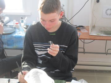 http://upforme.ru/uploads/0014/f6/ef/63/t75742.jpg
