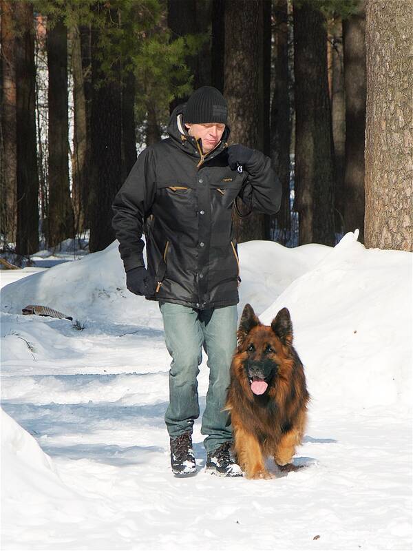 http://upforme.ru/uploads/0015/00/53/2/t887150.jpg