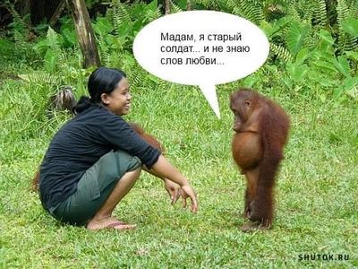 http://upforme.ru/uploads/0015/14/ca/10/t89545.jpg