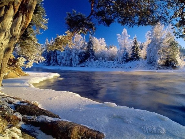 http://upforme.ru/uploads/0015/14/ca/13/518442.jpg