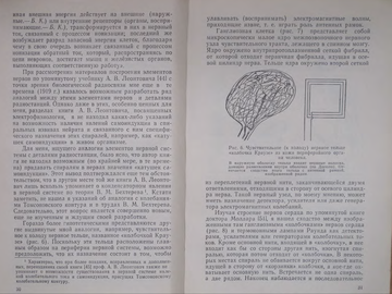http://upforme.ru/uploads/0015/14/ca/15/t676755.png