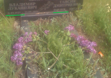 http://upforme.ru/uploads/0015/14/ca/15/t731032.jpg