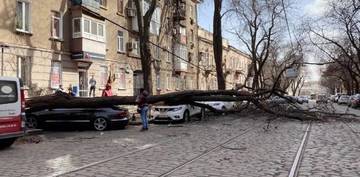 http://upforme.ru/uploads/0015/14/ca/17/t33085.jpg