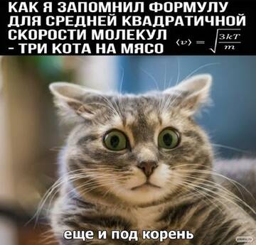 http://upforme.ru/uploads/0015/14/ca/17/t46724.jpg