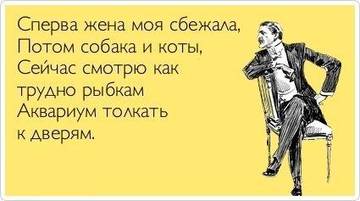 http://upforme.ru/uploads/0015/14/ca/17/t800215.jpg