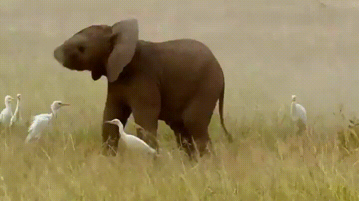 http://upforme.ru/uploads/0015/14/ca/24/566422.gif