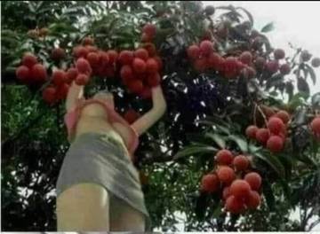 http://upforme.ru/uploads/0015/14/ca/4/t512030.jpg