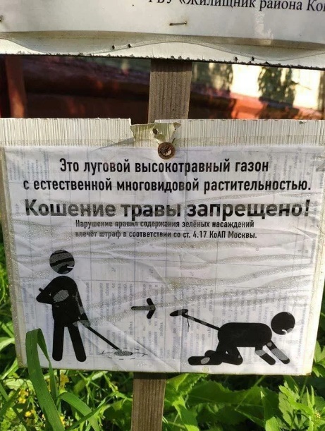 http://upforme.ru/uploads/0015/14/ca/5/253138.jpg