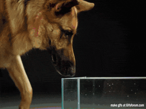 http://upforme.ru/uploads/0015/14/ca/5/601742.gif
