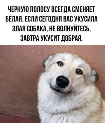 http://upforme.ru/uploads/0015/14/ca/6/t221098.jpg