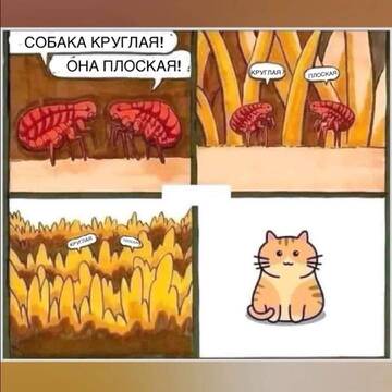 http://upforme.ru/uploads/0015/14/ca/6/t30174.jpg